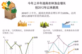 图表新闻：今年上半年越南农林渔业增长创2012年以来新高