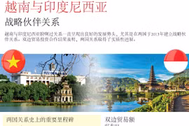 图表新闻：越南与印度尼西亚战略伙伴关系
