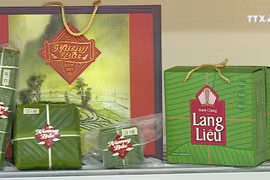 越南传统粽子的崭新面貌