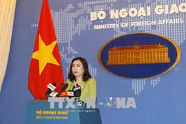  越南为保护与促进人权不懈努力