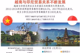 图表新闻：越南与印尼贸易关系不断发展