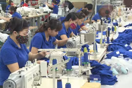 订单量猛增和各项FTA生效助推越南纺织行业发展 
