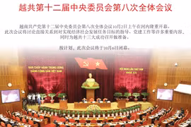 图表新闻：越共第十二届中央委员会第八次全体会议
