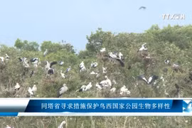 同塔省寻求措施保护鸟西国家公园生物多样性