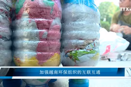 加强越南环保组织的互联互通 
