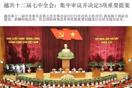 图表新闻：越共十二届七中全会集中审议并决定3项重要提案
