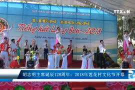 胡志明主席诞辰128周年：2018年莲花村文化节开幕