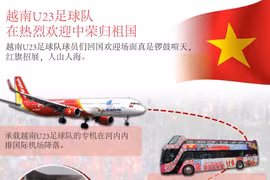 图表新闻：越南U23足球队在热烈欢迎中荣归祖国