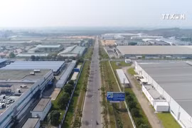大量外资投入越南并购市场 