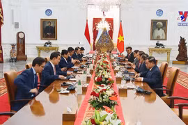 政府总理范明政会见印尼总统佐科•维多多