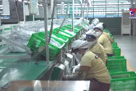 耐克集团继续在越南平阳省投资扩大生产能力