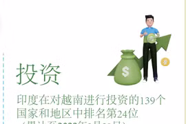 图表新闻：越南-印度关系蓬勃发展