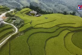 苔藓民舍——越南河江省旅游特色