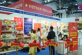 将越南农产品推向国际市场 