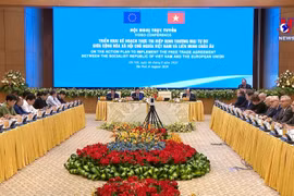 EVFTA像一条高速公路一样使越南和欧盟走得更近