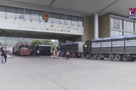 老街省“新冠疫情安全绿区设立方案”于1月18日开始生效