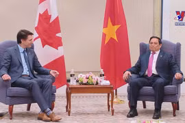 越南政府总理范明政总理会见加拿大、印度和科摩罗领导