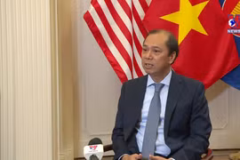 越南驻美大使阮国勇强调东盟美国合作的重要性 