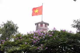 组图：五月花季为首都河内换上新装