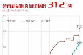 图表新闻：越南新冠肺炎确诊病例 312 例