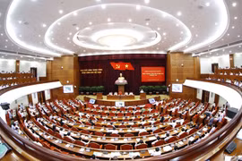 从专家的角度来看越南反腐败反消极斗争（第三期）