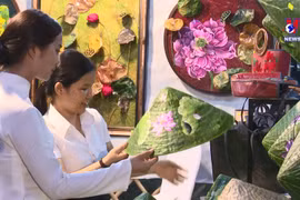 2023年顺化莲花节——莲花精髓汇聚之地