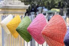 组图：顺化年轻画家把荷花视为取之不尽的灵感源泉
