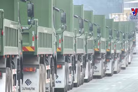 广西恢复东兴市与越南广宁省之间各口岸和通道通关活动