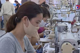 岘港市各工业区改善工人的工作环境