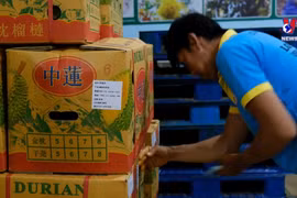 中国重新成为越南农林水产品出口最大市场