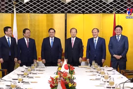 越南政府总理范明政在日本开展的活动报道