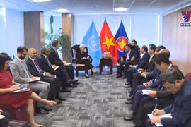 第77届联合国大会：越南着力促进双边合作关系