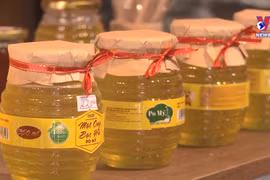 同文岩石高原着力打造薄荷蜂蜜品牌