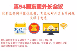 图表新闻：第54届东盟外长会议就东盟共同体建设进程、东盟的对外关系等问题交换意见