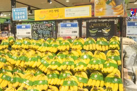 越南香蕉与日本市场同类产品相比具有竞争力