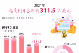 图表新闻：2021年越南引进外资总额达311.5亿美元