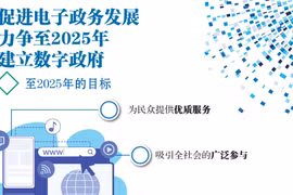 图表新闻：促进电子政务发展 力争至2025年建立数字政府