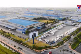2024年1月份39个国家和地区对越南进行投资