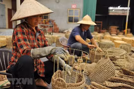 独特的宁平省凤眼蓝篮子手工编织业（组图）