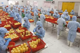 组图：2021年前6月越南进出口总额达逾3160亿美元