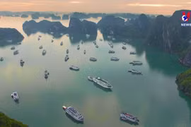 越南力争2024年旅游业全面复苏