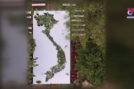 塑造越南首个美食地图模型获纪录认证