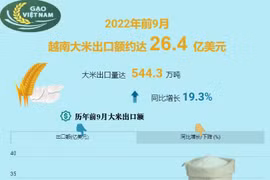 互动图表：2022年前9月 越南大米出口额约达 26.4 亿美元