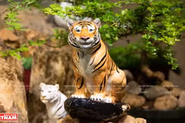 组图：明龙老虎瓷雕集 