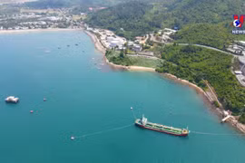 岘港市力争实现到2030年引进外资达70亿美元的目标