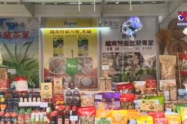 越南商品在香港工展会上备受青睐