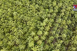 加强对接 构建有机循环农业生态体系