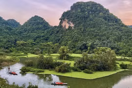 组图：宁平省通岩鸟园—美丽迷人的旅游景点