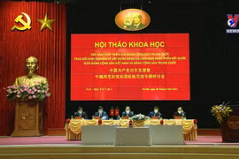进一步发展越中全面战略合作伙伴关系