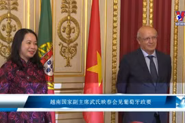 越南国家副主席武氏映春会见葡萄牙政要